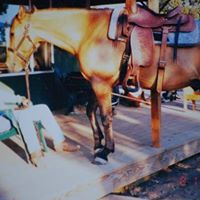 Neal Gordon Photo 16