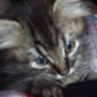 Marilyn Ryder Photo 21