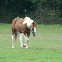 Debbie Yoder Photo 22