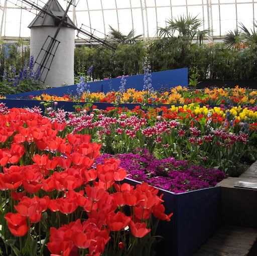 Tracy Malloy Photo 27