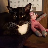 Cindy Pratt Photo 10