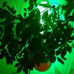 Walter Nowak Photo 9