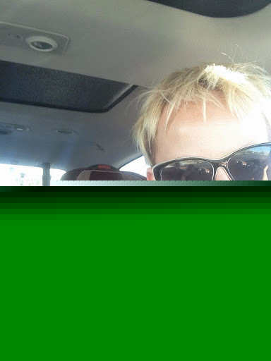 Lisa Meyers Photo 17