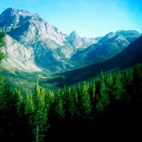 Rachel Lester Photo 16