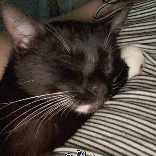 Kelly Wingate Photo 5