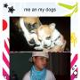 Dennis Acevedo Photo 20