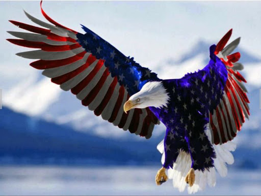 Darrell Collins Photo 43 Darrell Collins Photo 43