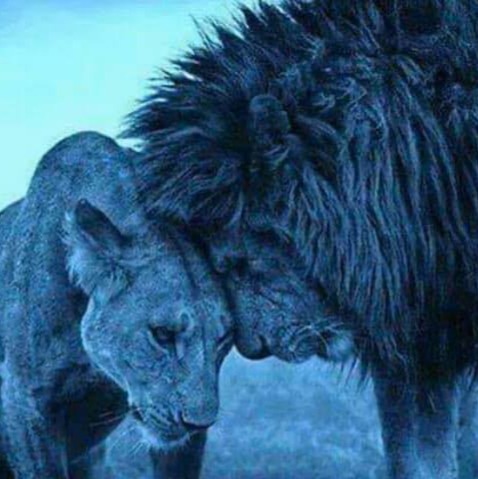 Frederick Payne Photo 4