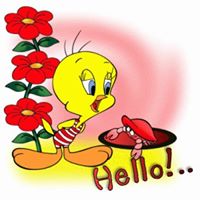 Joanne Mcwilliams Photo 20