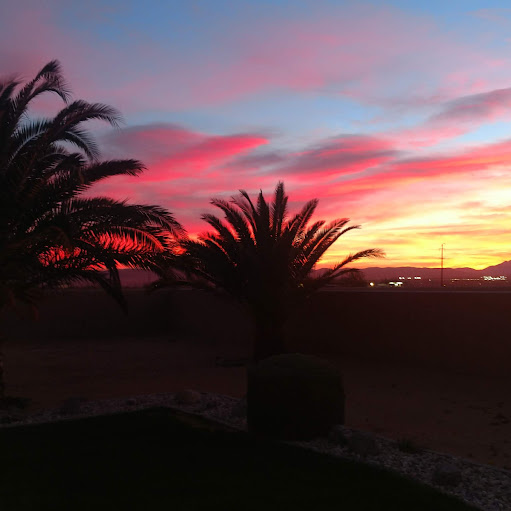 Shelly Tucker Photo 30