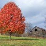 Debbie Ball Photo 39