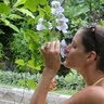 Elizabeth Hogan Photo 10