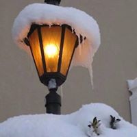 Sandra Chang Photo 21