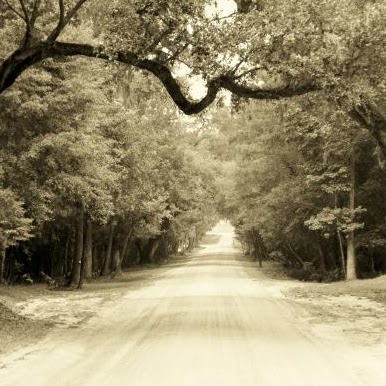 Erica Shepard Photo 3