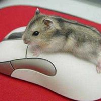 Jill Jeffers Photo 14