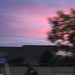 Allen Mahr Photo 10