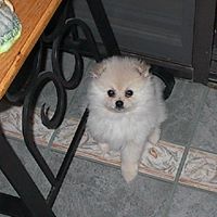 Donna Sprouse Photo 14