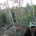 Lisa Grove Photo 10