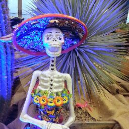 Tracy Rhodes Photo 42