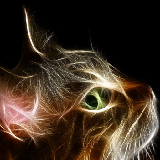 Robert Street Photo 35