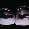Elizabeth Bean Photo 24