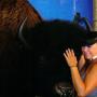 Debra Willis Photo 34