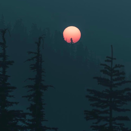 Brandon Andersen Photo 11