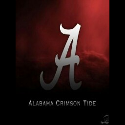 Tony Bowman Photo 33