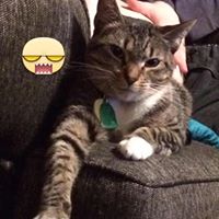 Susan Ferris Photo 10