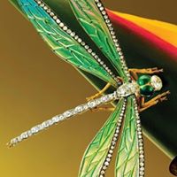 Angela Sturm Photo 7