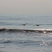 Angela Marcum Photo 26