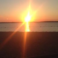 Connie Hedrick Photo 7