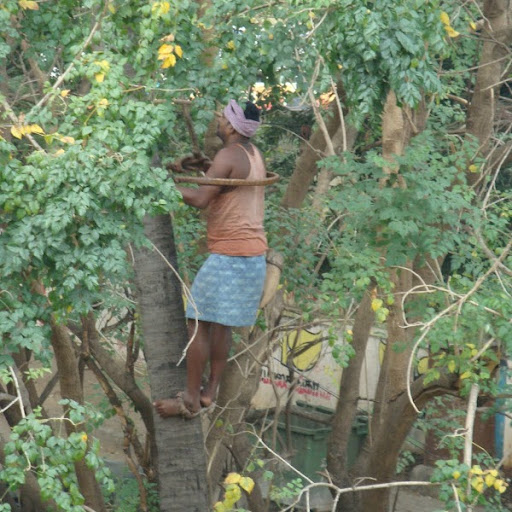 Richard Draper Photo 33