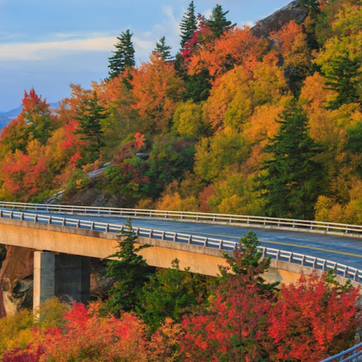 Gail Turner Photo 22