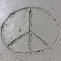 Amy Friedman Photo 47