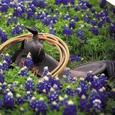 Janet Putman Photo 2