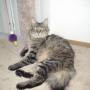 Linda Coffman Photo 28