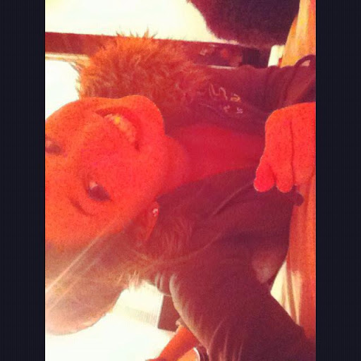 Rachel Addington Photo 11