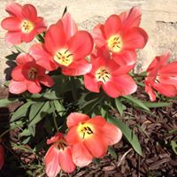 Teresa Bowley Photo 5