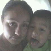 Diana Castle Photo 15