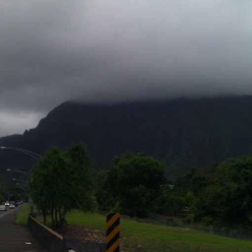 Douglas Rawlins Photo 15