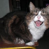 Joan Galloway Photo 12