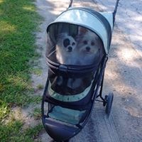 Cindy Ashmore Photo 14