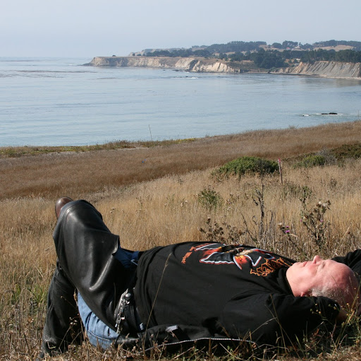 Paul Lambert Photo 29 Paul Lambert Photo 29