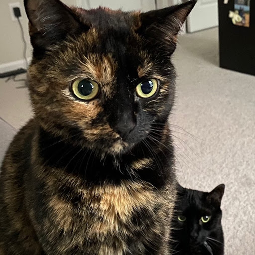 Jessica Wong Photo 49