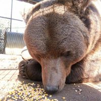 Cheryl Augustine Photo 10