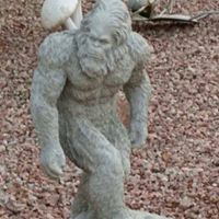 Carl Steward Photo 15 Carl Steward Photo 15