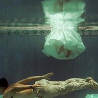 Tyler Rodgers Photo 17