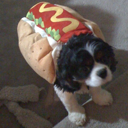 Jennifer Stephens Photo 27