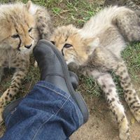 Katherine Stevenson Photo 13 Katherine Stevenson Photo 13